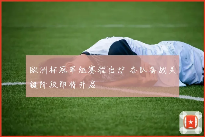 欧洲杯冠军组赛程出炉 各队备战关键阶段即将开启