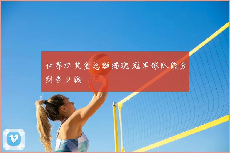 世界杯奖金总额揭晓 冠军球队能分到多少钱