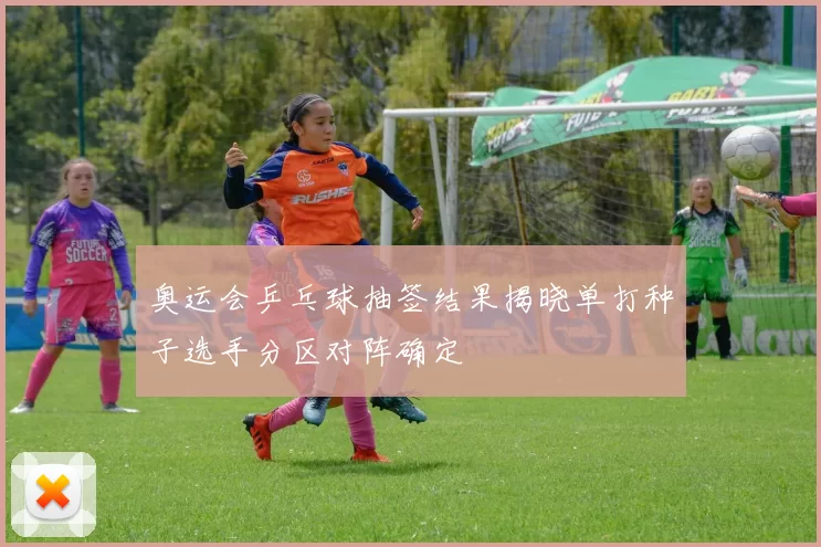 奥运会乒乓球抽签结果揭晓单打种子选手分区对阵确定