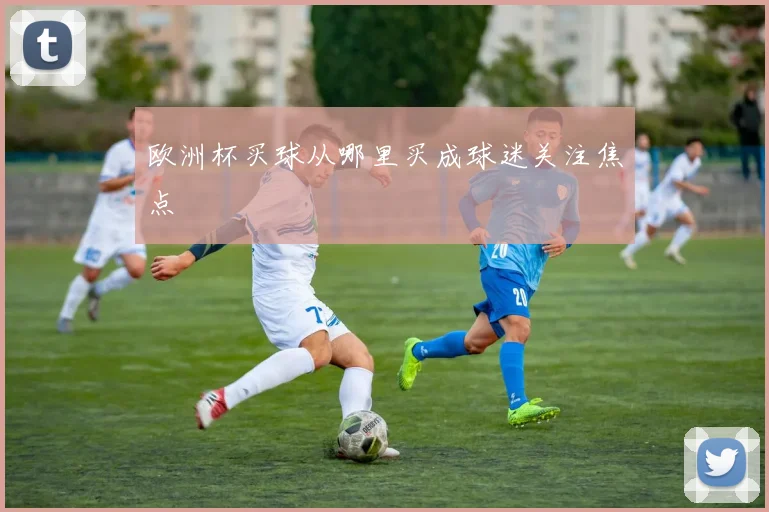 欧洲杯买球从哪里买成球迷关注焦点
