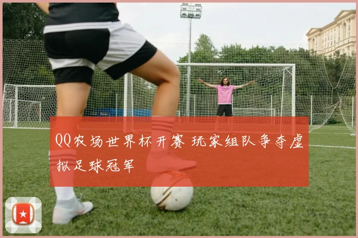 QQ农场世界杯开赛 玩家组队争夺虚拟足球冠军