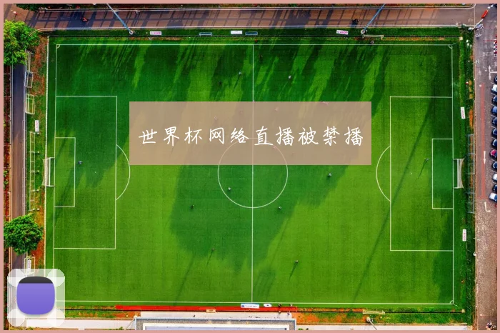 世界杯网络直播被禁播