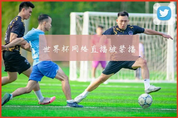 世界杯网络直播被禁播
