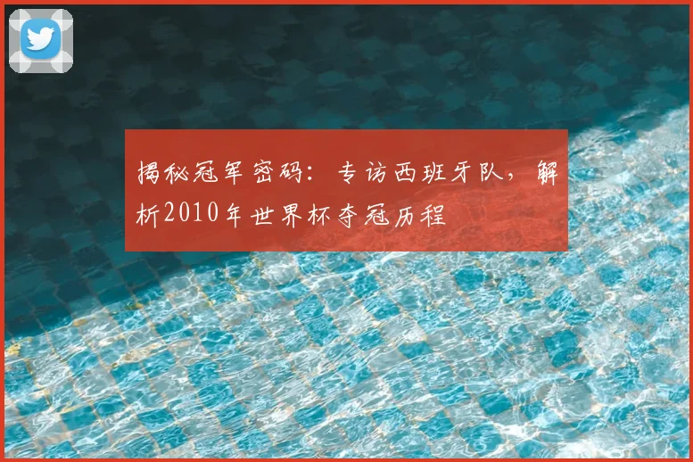揭秘冠军密码：专访西班牙队，解析2010年世界杯夺冠历程