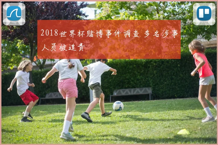2018世界杯赌博事件调查 多名涉事人员被追责
